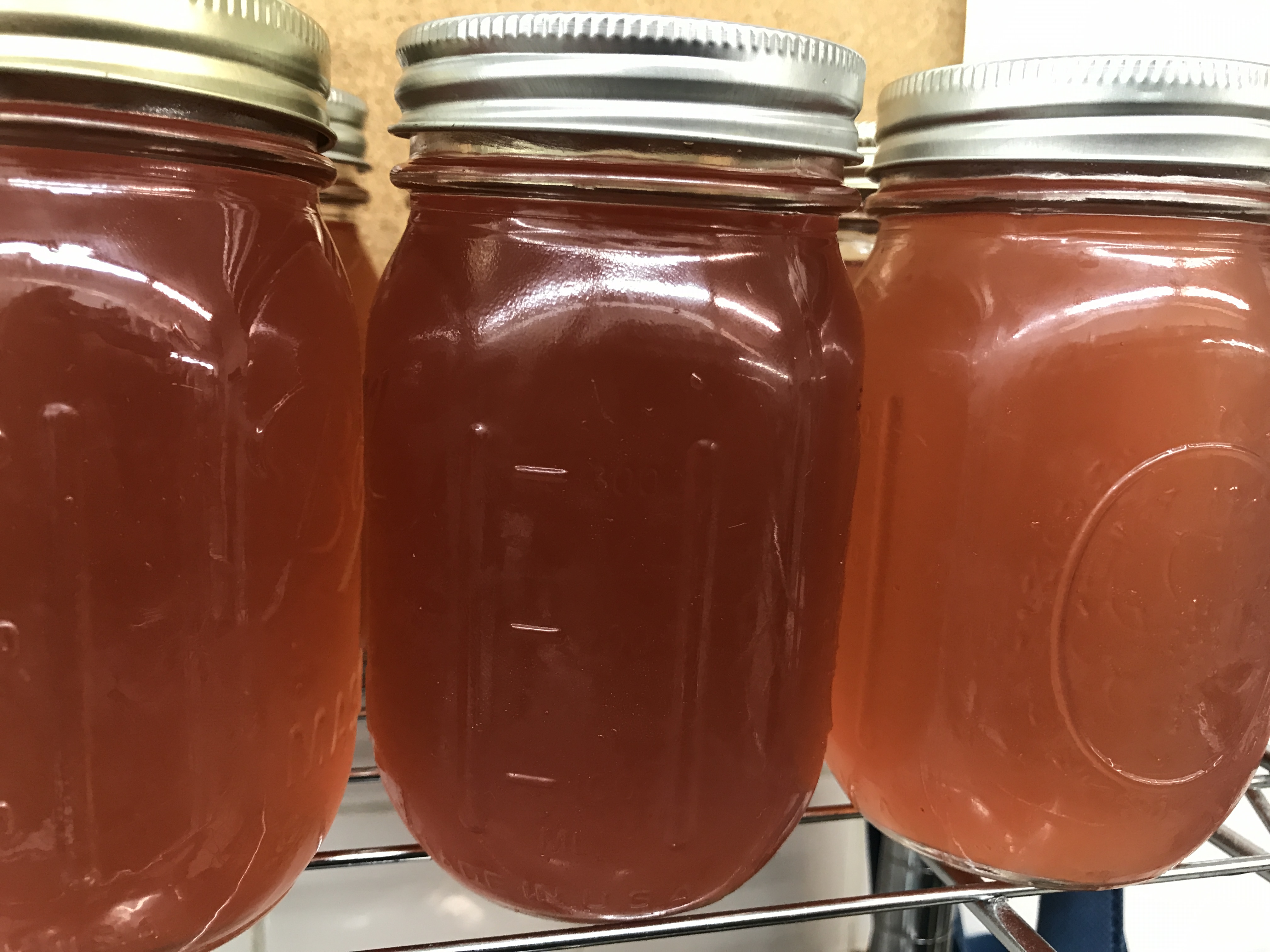 Kombucha jars